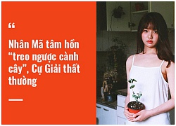 Tử vi hôm nay (26/11) của 12 cung hoàng đạo: Nhân Mã tâm hồn &#8216;treo ngược cành cây&#8217;