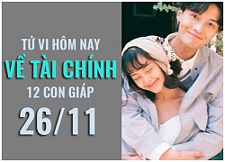 Tử vi hôm nay (26/11) về tài chính của 12 con giáp: Tuổi Tỵ khởi sắc, tuổi Mão bội thu