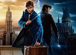 22 nhân vật liên quan đến nhau trong Fantastic Beasts và Harry Potter (Phần 1)