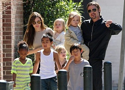 Angelina Jolie và Brad Pitt xin hoãn phiên tòa xử quyền nuôi con