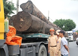 Cảnh sát tạm giữ hàng chục cây gỗ khủng đang "bon bon" trên QL1A