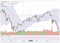 Chứng khoán ngày 27/11: VN-Index về 900 điểm?