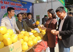 Đất đồi gò thành trang trại thu tiền tỷ/năm