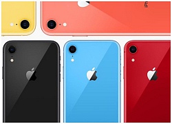 Đúng như tin đồn, Apple đã giảm giá 100 USD cho iPhone XR tại Nhật