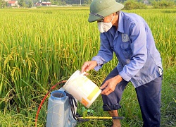 Khi nỗi sợ bị đem ra... kinh doanh