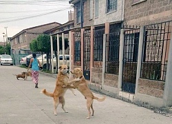 Những ảnh hài hước trong ngày