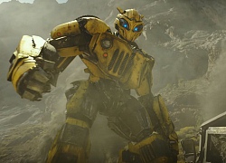 Phim riêng về Bumblebee có "cứu sống" được series Transformers?