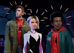 'Spider-Man: into the Spider-verse' nhận về số điểm tuyệt đối trên Rotten tomatoes