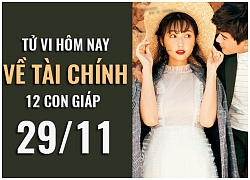 Tử vi hôm nay (29/11) về tài chính của 12 con giáp: Tuổi Dậu 'đậu' tiền, tuổi Thìn mất mát