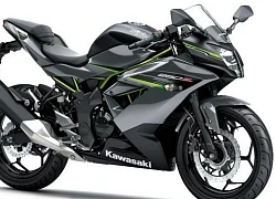 2019 Kawasaki Ninja 250 SL giá 60 triệu đồng, phái mạnh phấn khích