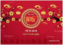 2019 là năm HƯNG THỊNH của 3 con giáp này, phẩy tay 1 cái là TIỀN VÀNG rơi xuống lấp lánh hoa cả mắt