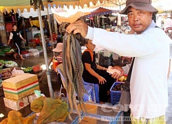 An Giang: Sôi động chợ rắn, chợ cua đồng huyện đầu nguồn An Phú