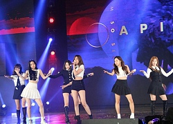 Apink 'đốt cháy' sân khấu âm nhạc Việt - Hàn