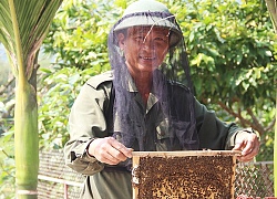 Làm giàu ở nông thôn: Nuôi ong kết hợp Farmstay, du khách thích mê