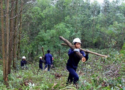 Sắp xếp, đổi mới công ty lâm nghiệp chưa có gì... mới