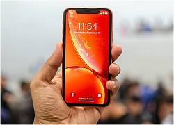 Tại sao iPhone XR trở thành smartphone bán chạy nhất của Apple?