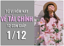 Tử vi hôm nay (1/12) về tài chính của 12 con giáp: Tuổi Mùi, tuổi Hợi thu nhập khá