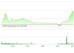 Chứng khoán chiều 4/12: EIB tạo thanh khoản lớn, trụ đỡ VN-Index tăng mạnh