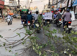 Clip: Thanh niên buộc nguyên cành cây lớn vào xe máy quét dọc đường Trường Chinh