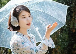 Còn gì tuyệt hơn, IU được mời đóng phim mới của chị em biên kịch Hong Sisters