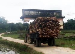 Công nông chở hàng "khiêng" luôn cả cổng làng ở Quảng Nam