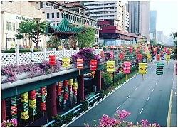 Khám phá các gam màu rực rỡ tại China Town, Singapore