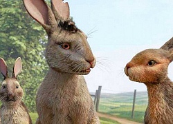 Trailer phim hoạt hình kinh dị "Watership Down" bản remake bị ném đá vì kỹ xảo xấu khó hiểu