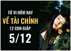 Tử vi hôm nay (5/12) về tài chính của 12 con giáp: Tuổi Tuất bình ổn, tuổi Thân lộc phát