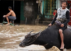 Áp thấp quét qua Philippines, ít nhất 68 người thiệt mạng