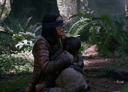 Đạt 45 triệu tài khoản xem trong tuần đầu tiên nhưng 'Bird Box' của Netflix có đang tạo ra niềm tin sai lầm về người mắc bệnh tâm thần?