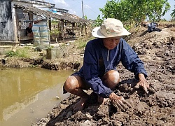 Ác mộng hà bá ở cồn Phú Đa, Bến Tre