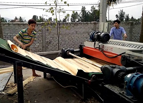 Dốc toàn lực cứu chữa nạn nhân tai nạn thương tâm do máy bóc gỗ