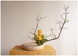 Ikebana - Nghệ thuật cắm hoa kết tinh từ triết lý sống của người dân đất nước Nhật Bản