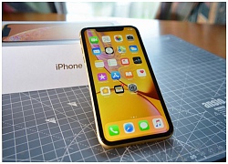 iPhone XR là smartphone camera đơn chụp ảnh đẹp nhất