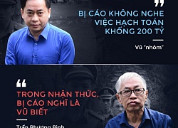 Luận tội Vũ 'nhôm' cùng Trần Phương Bình