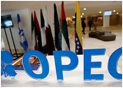 OPEC chưa chốt kế hoạch giảm sản lượng, giá dầu sụt mạnh