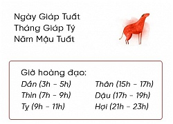 Phong thủy hàng ngày (8/12/2018) của 12 con giáp