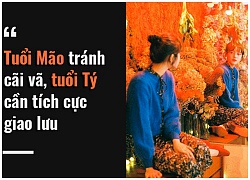 Tử vi hàng ngày (8/12): 6 điều nên và không nên của 12 con giáp