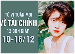 Tử vi tuần mới (10/12 - 16/12) về tài chính của 12 con giáp: Tuổi Tý rủng rỉnh, tuổi Mùi gặp khó