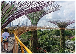 Bạn có chắc là đã biết hết loạt trải nghiệm tuyệt vời ở vịnh Marina, Singapore?