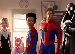 Lý do khiến Miles Morales là chàng Nhện đặc biệt nhất của "vũ trụ Nhện" từ trước tới nay