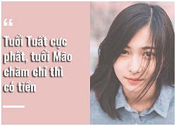 Tử vi hôm nay (11/12) về tài chính của 12 con giáp: Tuổi Tuất cực phất