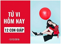 Tử vi hôm (12/12/2018) của 12 con giáp: Tuổi Dần nên kiên nhẫn, tuổi Mão đáng yêu