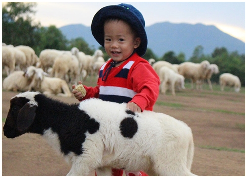 Bạn trẻ về Suối Nghệ 'chăn cừu' tìm khoảng lặng