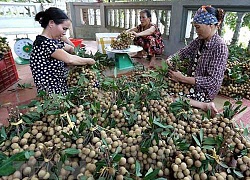 Bí thư Tỉnh ủy Hưng Yên Đỗ Tiến Sỹ: Nhiều bài học quý từ hoạt động Hội Nông dân