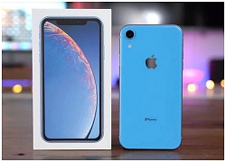 Hai đối tác chính của Apple bất ngờ công bố báo cáo tài chính tháng 11 đầy triển vọng, giữa lúc hàng loạt thông tin cho rằng iPhone mới ế ẩm