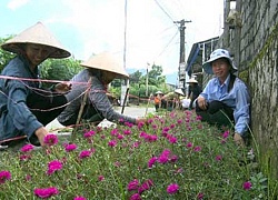 Hội viên nông dân góp sức hiệu quả bảo vệ môi trường