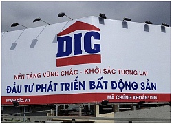 Khahomex dự chi hơn 200 tỷ để làm cổ đông lớn của DIG