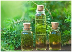 Làm sao để sử dụng đúng cách thành phần 'tea tree oil' trong điều trị mụn trứng cá?