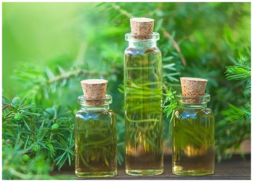 Làm sao để sử dụng đúng cách thành phần 'tea tree oil' trong điều trị mụn trứng cá?